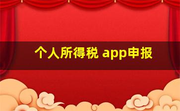 个人所得税 app申报